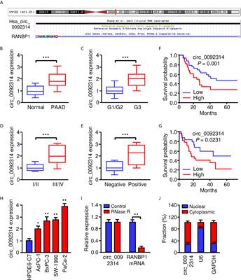 CircRNA circ_0092314 Induces Epithelial-Mesenchymal Transition of Pancreatic Cancer Cells via Elevating the Expression of S100P by Sponging miR-671